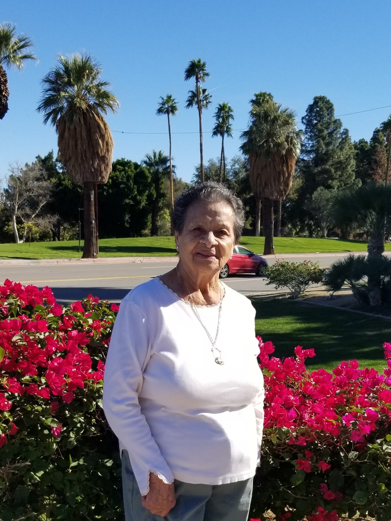 Obituary of Mercedes G Navarro