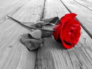 Obituary of Mary Ann Armijo