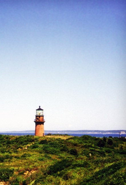 Obituary of Richard Cox