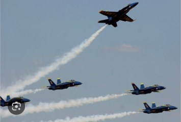 Obituary of Frank G. Niesig