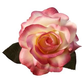 Obituary of Marie F Aulicino