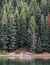 Avis de décès de Robert W. Neilson