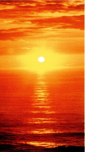 Obituary of Nancy Kay King