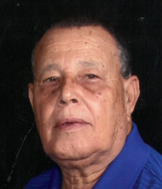 Obituario de Alfredo Theodore Palmer Sr.