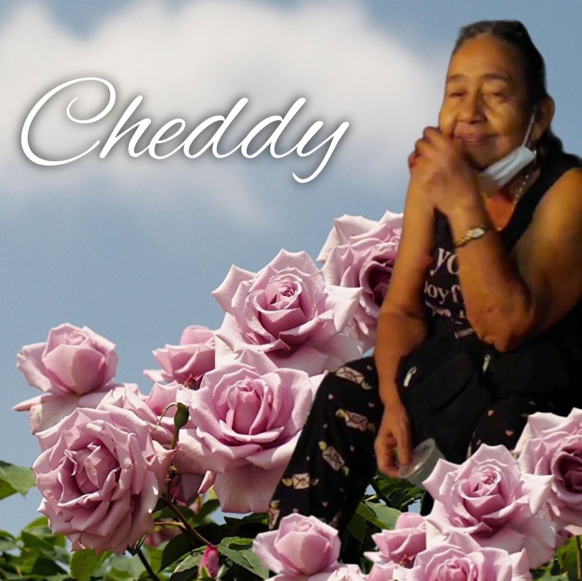 Mercedes Berrios López Obituary Bayamon, PR