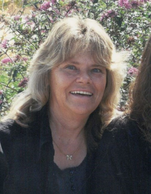 Obituary of Sandra Kay Hanes