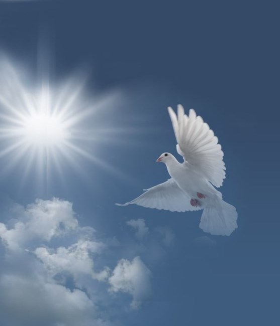 Andree Lachance Obituary L Ancienne Lorette Qc Andree Lachance Obituary L Ancienne Lorette Qc