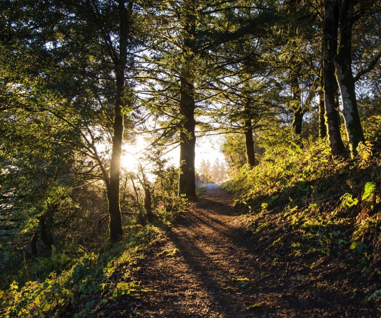 Obituary of Louis Lam Thanh Le