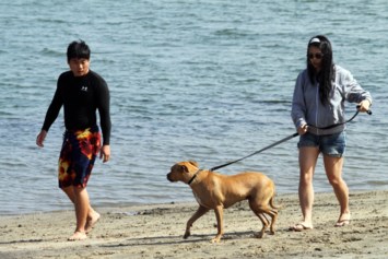 Obituary of David Wei Ning Chen