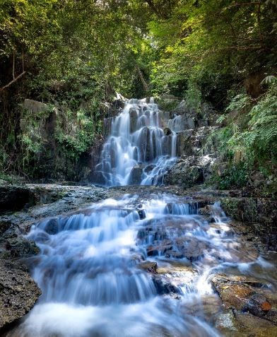 Obituary of Paul Douglas Thomas