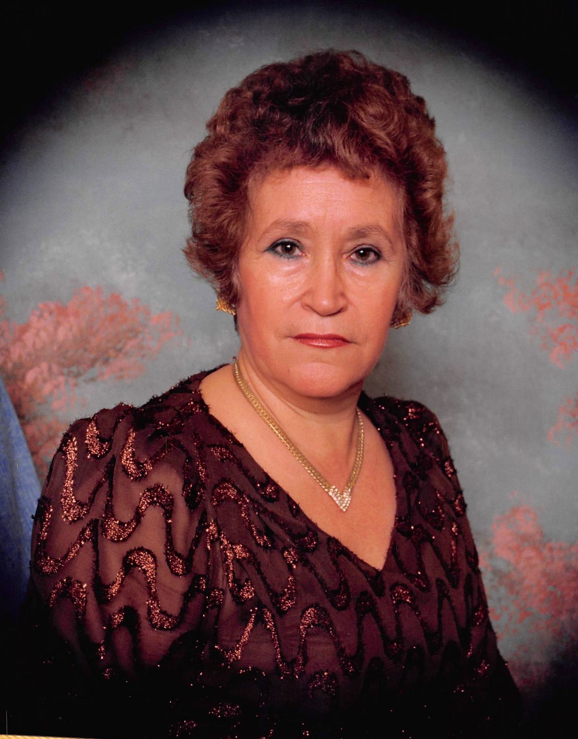 Alicia Avalos Obituary Stickney, IL