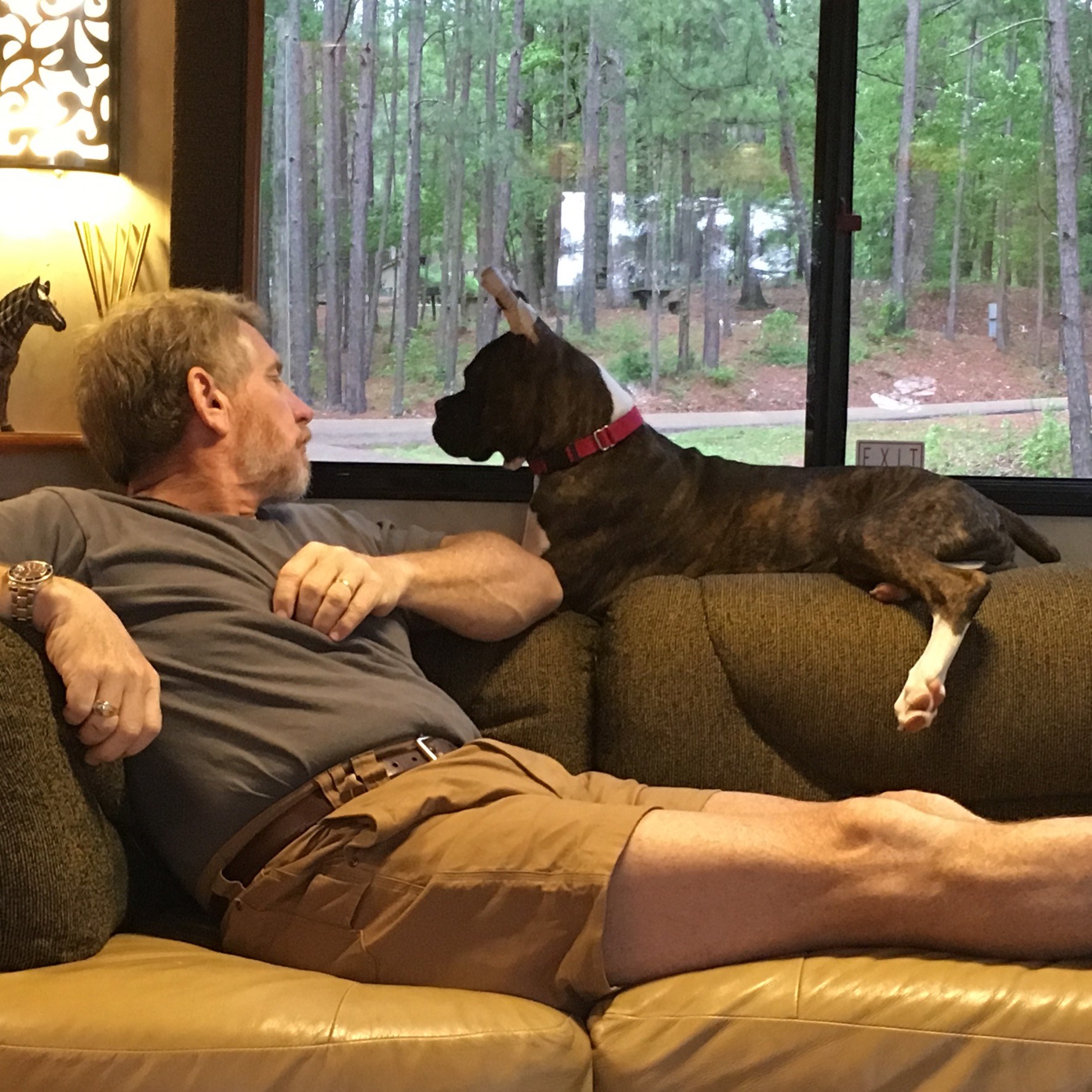 Absco Fireplace Patio Home Facebook