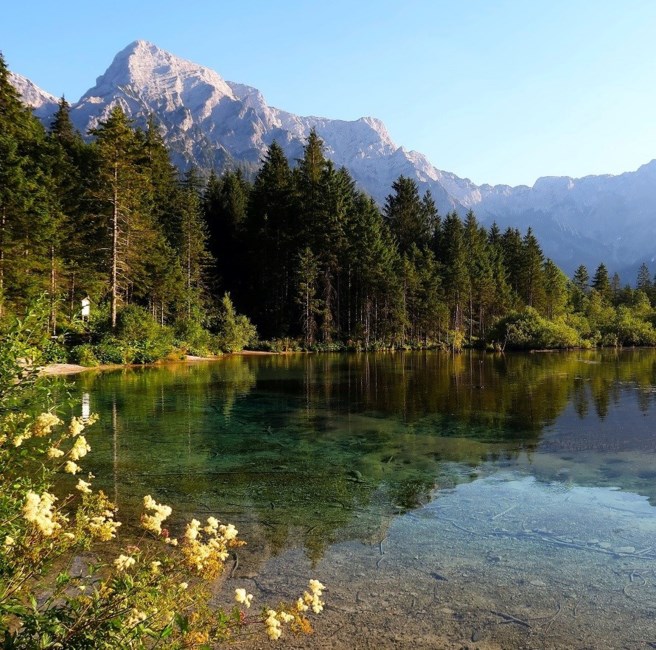 Obituary of Chan Ho Lee