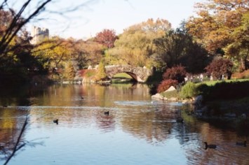 Obituary of Homer Holly Hardeman Jr.