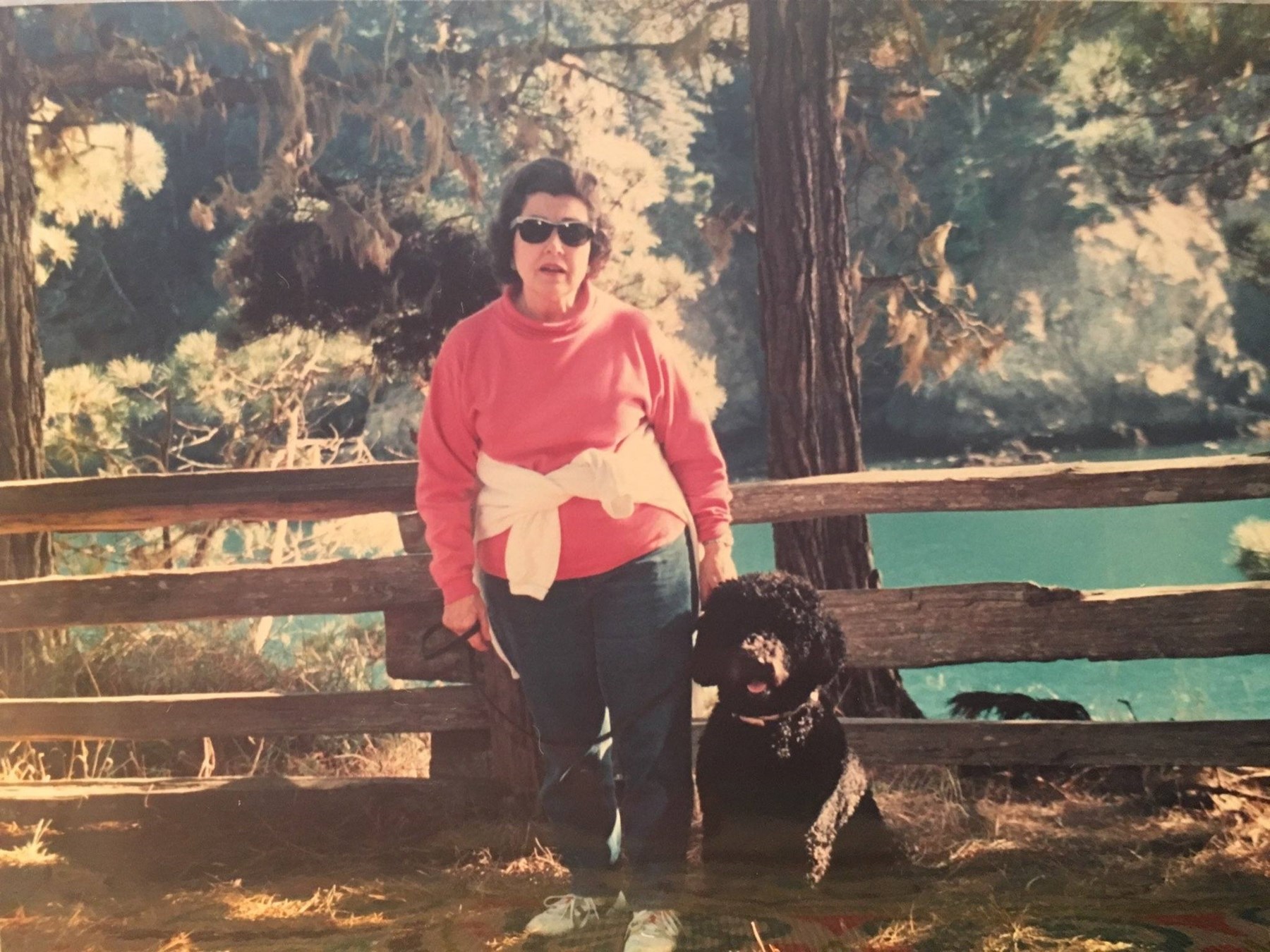 Obituary of Noël Druding