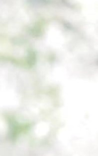 Steven Diaz Obituary Hughson, CA