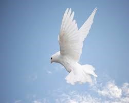 Obituary of Lyle Charles Schipper