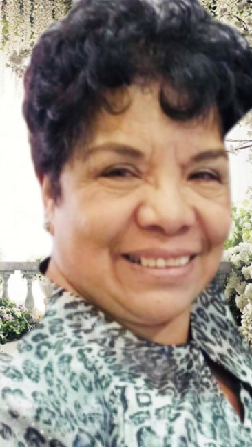 Obituary of Alicia Martinez Carapia