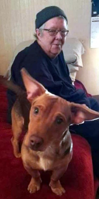 Obituary of Wendy Lee Hollenbeck