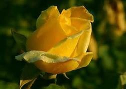 Obituary of Mable Marie "Missy" Chesser