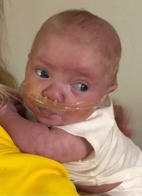 Obituary of Jesse James VanVleet