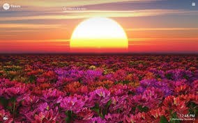 Obituary of Janette Kanfer