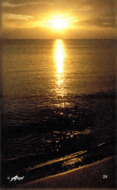 Obituary of Patrick Vincent Ferguson