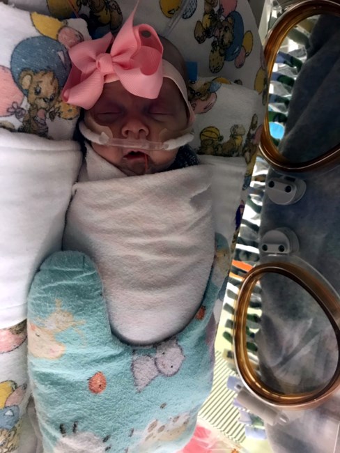 Obituary of Raelynn Ann Ingle