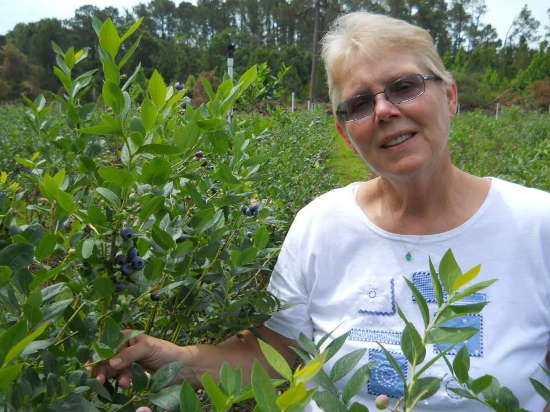 Obituary of Vickie Ayotte