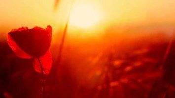 Obituary of Charlotte Slaten Jones