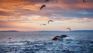 Obituary of Lee Roy Turner