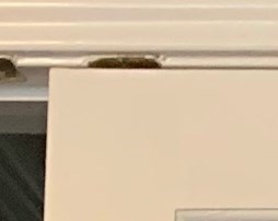 William Long Obituary San Antonio, TX