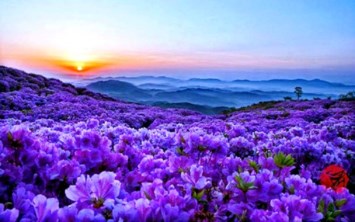 Obituary of Jennifer Marie Ashby