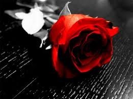 Obituary of Diane Snavely Dunn