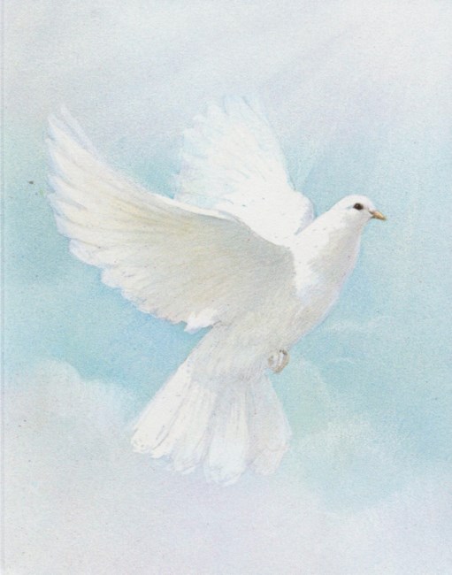 Obituary of Mildred Morgan