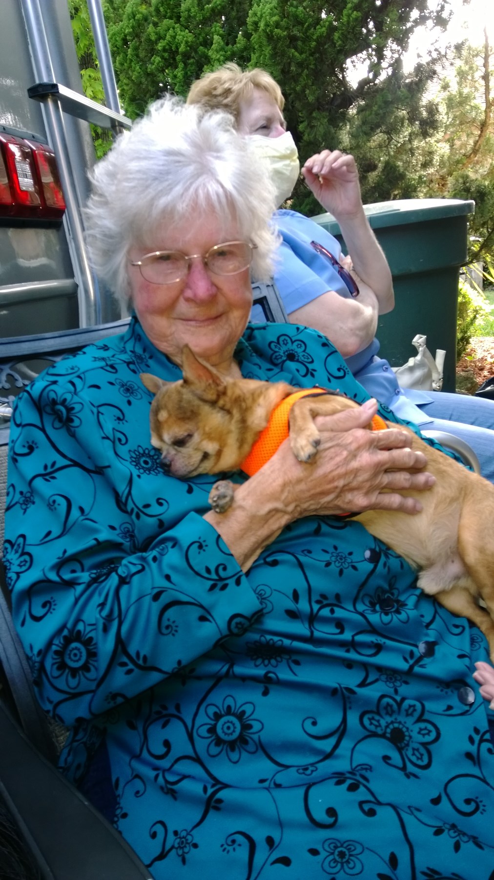 hazelwood pet cremation