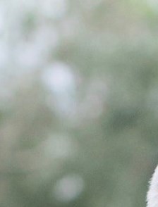 Robert Keith Obituary - Jacksonville, FL