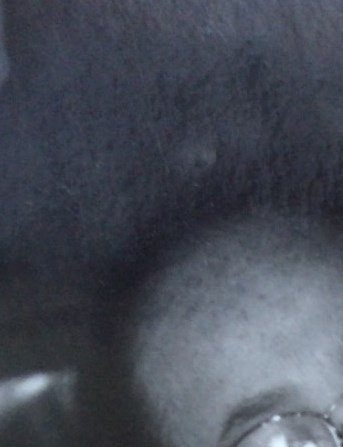 Ana Maldonado Obituary - Gotha, FL