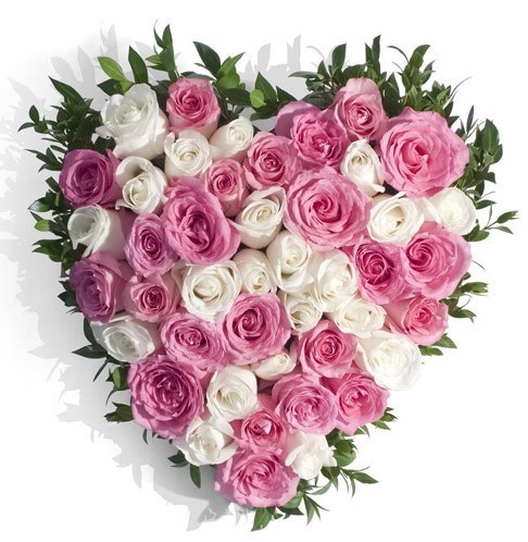 Obituary of Nidia Angela Lopez Olivera