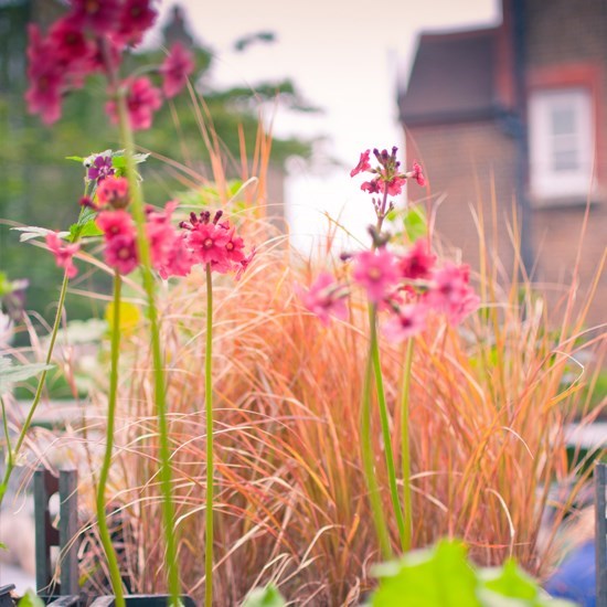 Obituary of Jeanne W. Walker Bell
