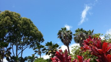 Obituario de Kenneth Masami Yamane