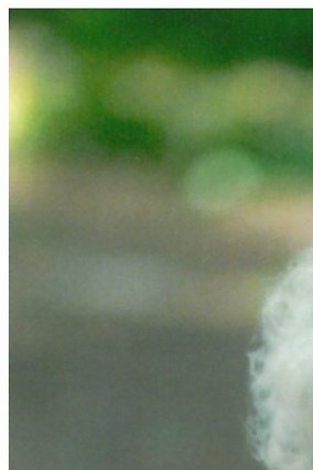 Sibyl Enders Obituary - Upland, CA