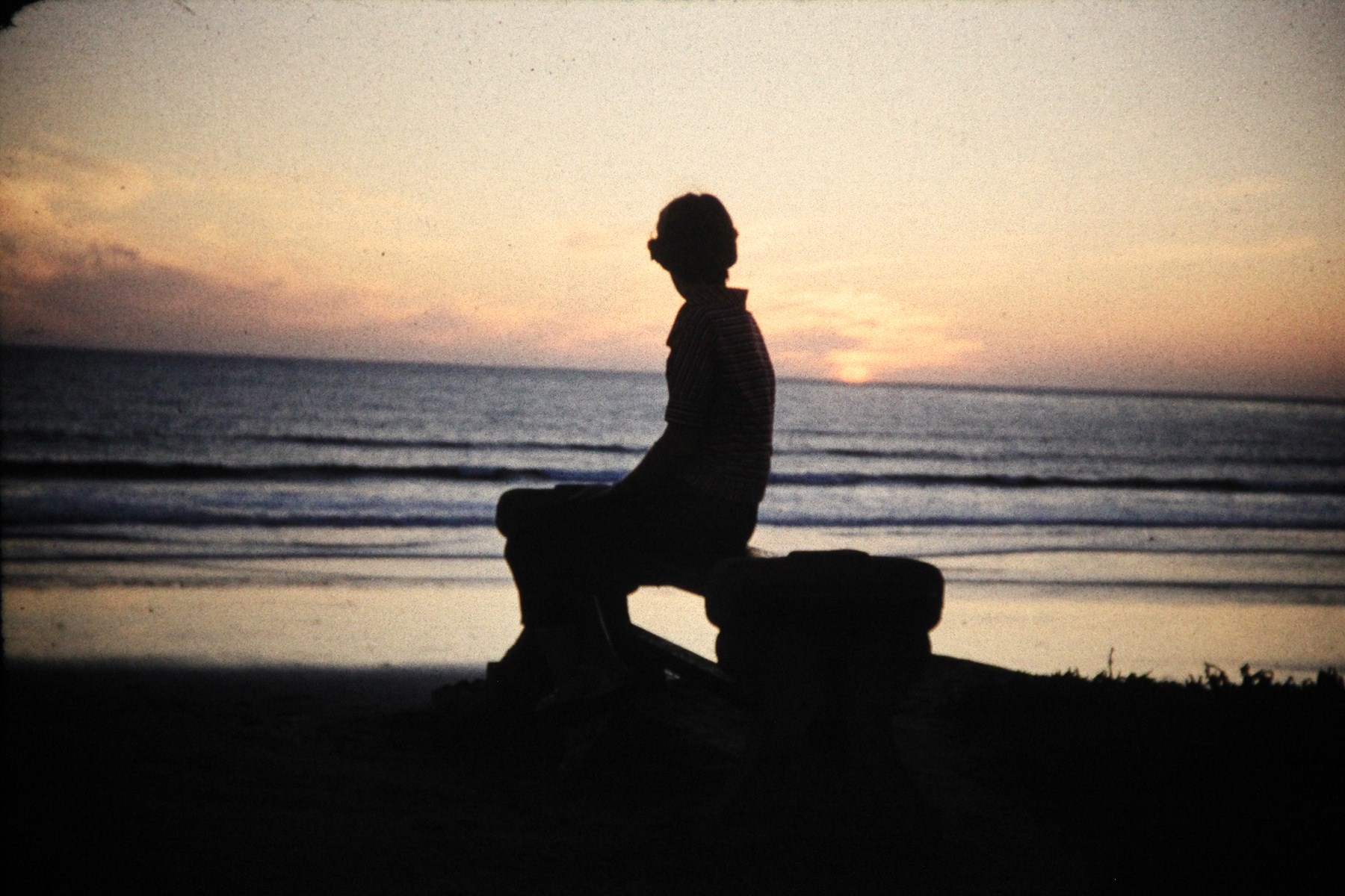 Obituary of Evelyn Palmer Lull