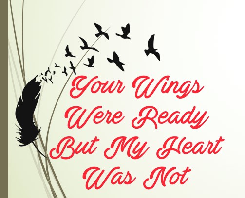 Tim Mccann Avis De Deces Davenport Ia You are (sung on the curb outside our house). dignity memorial