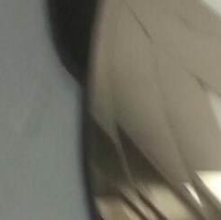 Judith Merrilee Duva Obituary Cape Coral, FL