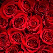 Obituary of Brita S. Quinn