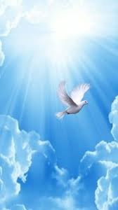 Obituary of Victor Segura Sansores