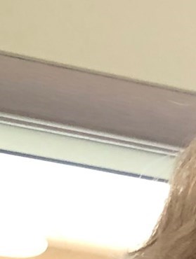 Catherine M. Willard Obituary - Wildwood, FL