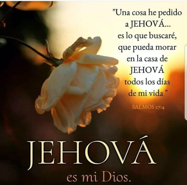 Obituary of Sr. Johnny Cruz Torres