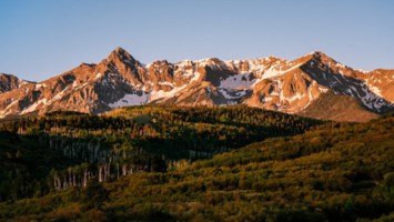 Obituary of Brant C Swink